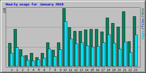 Hourly usage for January 2010